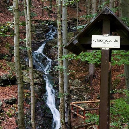 Apartmán mezi stromy Rokytnice nad Jizerou Esterno foto