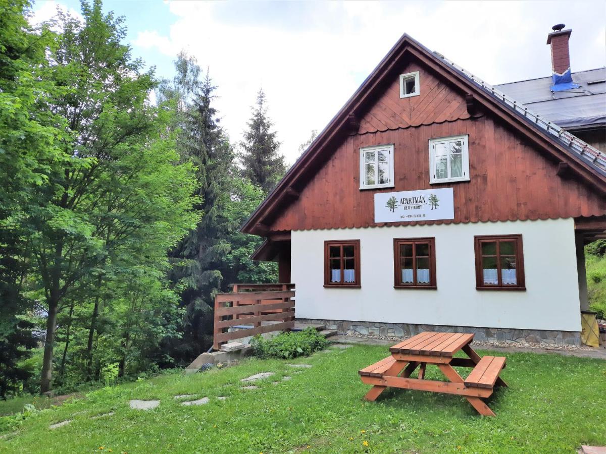 Apartmán mezi stromy Rokytnice nad Jizerou Esterno foto