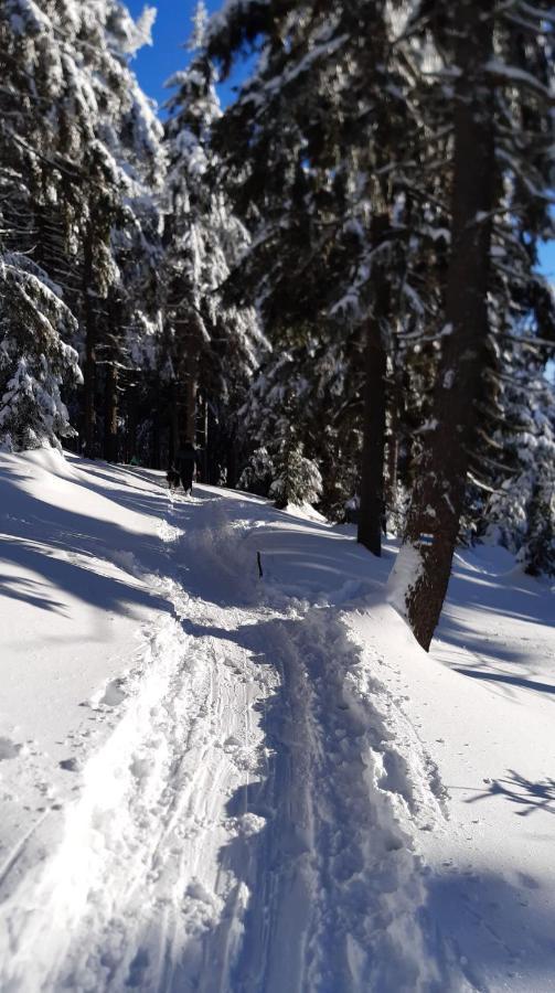 Apartmán mezi stromy Rokytnice nad Jizerou Esterno foto